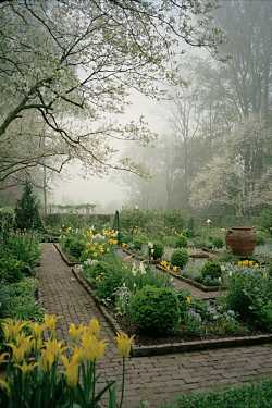 Garden in mist -- by Mary Jean Peters