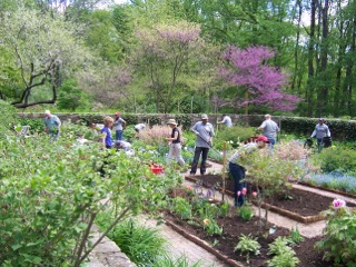 Volunteers in the garden