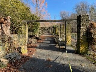 The damaged western end of the wisteria-covered pergola